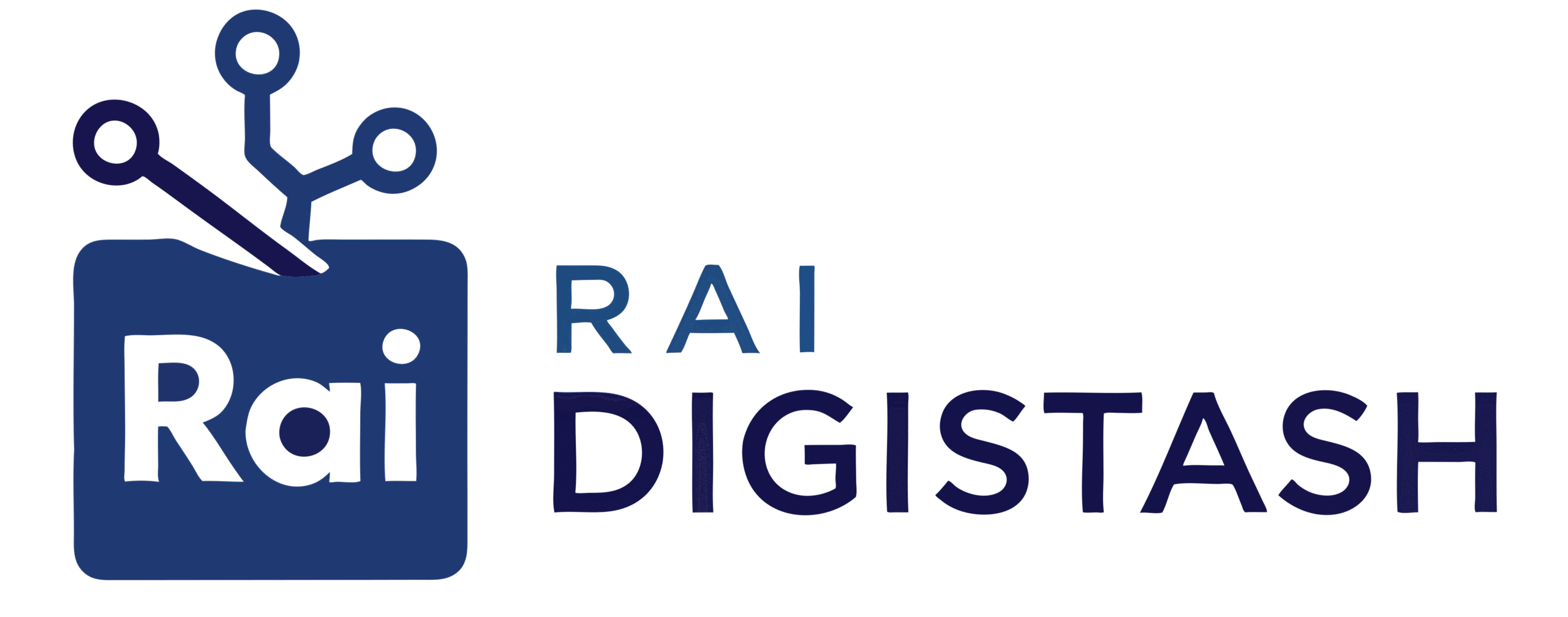 Rai Digistash-Digitaldownloadstore